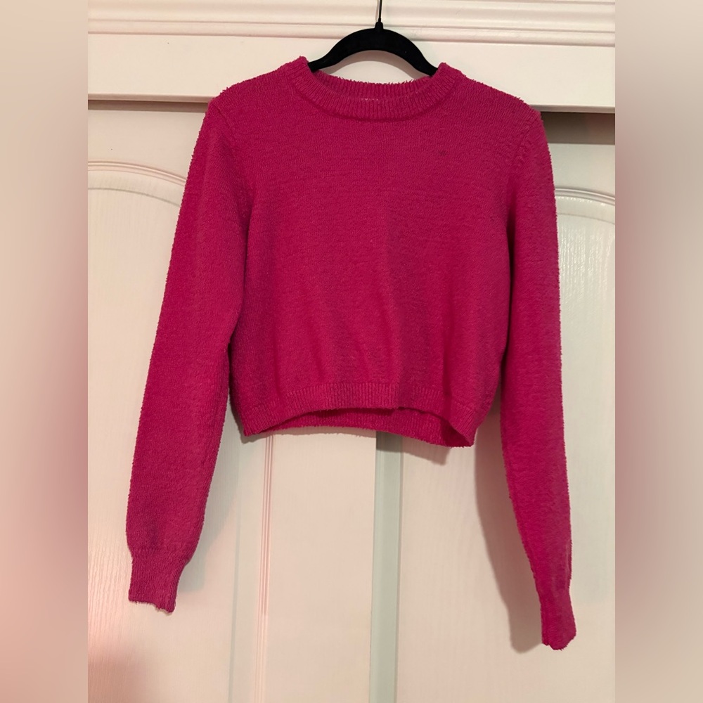 Abound Fuchsia Crew Neck Sweater
